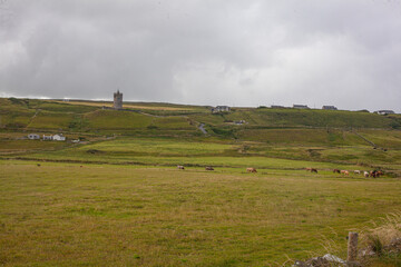 Fototapeta premium landscape with cows and clouds
