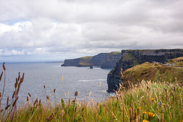 cliffs of moher coastal walk