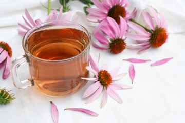 Herbal tea in a glass cup, fresh flowers of echinacea on a marble background. Side view. Space for...