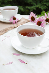 Echinacea tea cups. Echinacea flowers and leaves. Brewing tea with echinacea. Side view. 