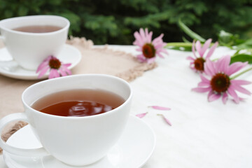 Echinacea purpurea. Fresh herb. Cup of herbal echinacea and tea on a light table. Side view. Copy space.