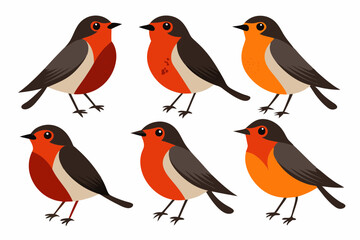 A collection for bird robin vector art illustration