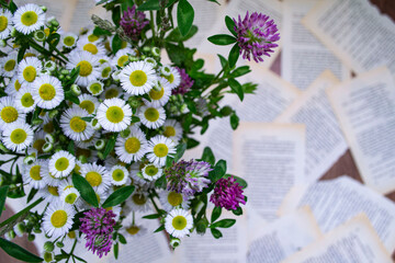 flowers in the garden