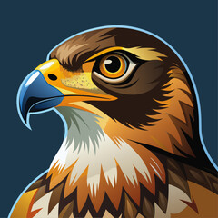 Hawk Colorfui vector for uses