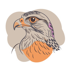 Hawk Colorfui vector for uses