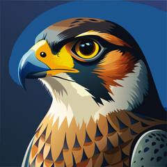 Hawk Colorfui vector for uses