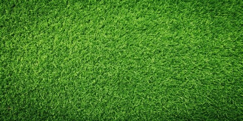 Obraz premium Green grass texture background with a top view, perfect for a green lawn, grass, texture, background, top view, green, lawn