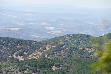 Panoramic view of serene hills with lush green forests and distant terraced agricultural fields