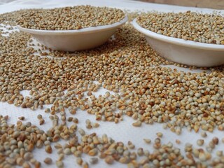 Pearl millet seeds or grain.Pennisetum glaucum seeds or grain pattern background 
