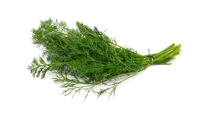 bunch fresh green dill isolated on white background.