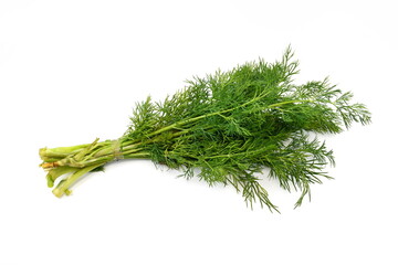 bunch fresh green dill isolated on white background.