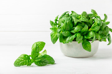 Green basil leaves on a textured wooden background. Kitchen herbs, spices. Fresh green organic basil. Vegan. Greens for salad. Place for text. Copy space.