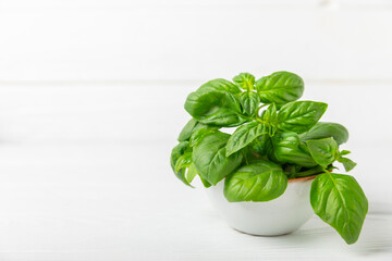 Green basil leaves on a textured wooden background. Kitchen herbs, spices. Fresh green organic basil. Vegan. Greens for salad. Place for text. Copy space.