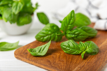 Green basil leaves on a textured wooden background. Kitchen herbs, spices. Fresh green organic basil. Vegan. Greens for salad. Place for text. Copy space.