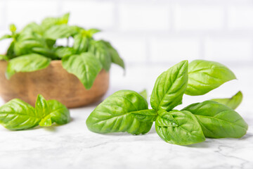 Green basil leaves on a textured wooden background. Kitchen herbs, spices. Fresh green organic basil. Vegan. Greens for salad. Place for text. Copy space.