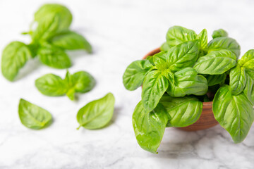 Obraz premium Green basil leaves on a textured wooden background. Kitchen herbs, spices. Fresh green organic basil. Vegan. Greens for salad. Place for text. Copy space.