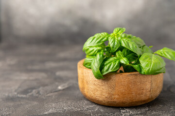 Green basil leaves on a textured wooden background. Kitchen herbs, spices. Fresh green organic basil. Vegan. Greens for salad. Place for text. Copy space.