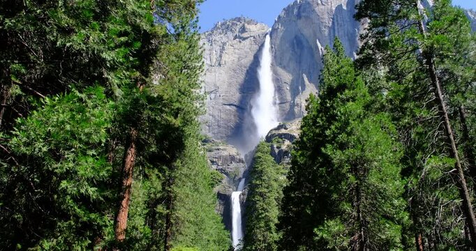 Beautiful Yosemite Falls waterfall (All three falls) and green forest in Yosemite National Park in California, America