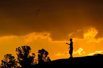 Silhouette of a person flying a kite at sunset with trees in the background