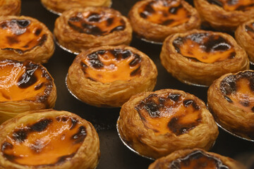 香港の焼きたてエッグタルト