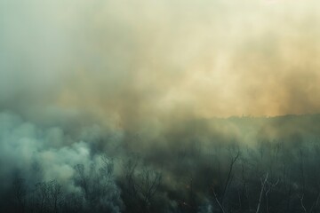 Obraz premium Forest Fire Smoke