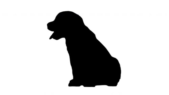Black Silhouette puppy dog sitting on the white background. Black and white for compositing and presentation. Alpha matte isolated.