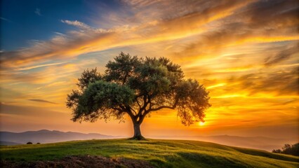 Fototapeta premium Sunset backdrop with mature olive tree silhouette, subtle leaf texture, and gentle hill slope, exuding serenity and classic elegance.
