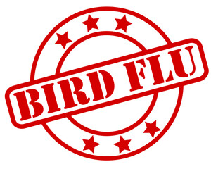 Vector illustration of Bird Flu H5N1 badge showing detection of the illness