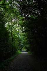 公園の風景