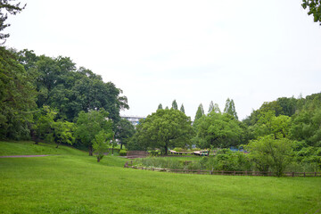 公園の風景