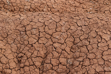 dry cracked earth