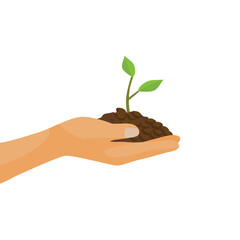 hand holding seedling of young plant tree in the soil