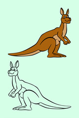 Hand Drawn Kangaroo Vector Illustration
