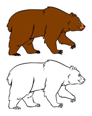 Hand Drawn Bear Vector Illustration