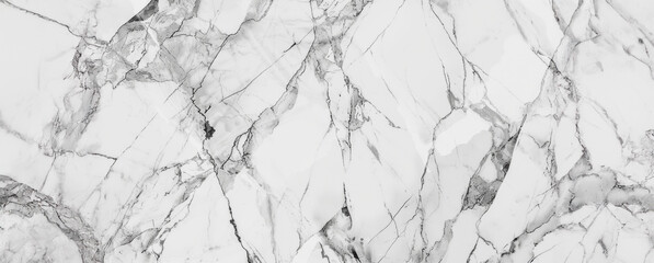 Obraz premium White marble texture with intricate veining