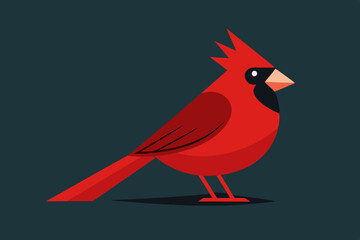 Cute cardinal bird vector art illustration
