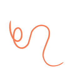 Obraz premium Calligraphic swirl flourish collection