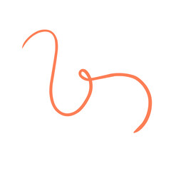 Calligraphic swirl flourish collection