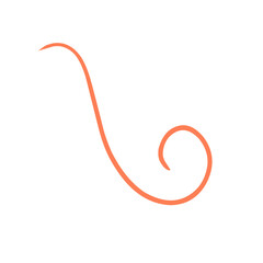 Obraz premium Calligraphic swirl flourish collection