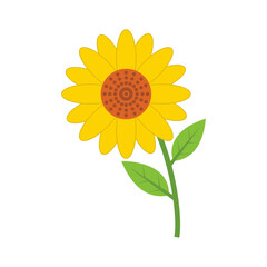 Sun Flower Vector Art on white Background