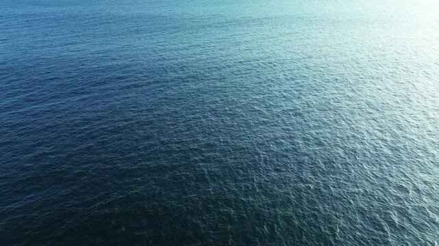 Aerial view of a school of dolphins frolicking in the ocean and splashing in the water. Distant view of dolphins swimming by underwater. Background video of marine mammals.