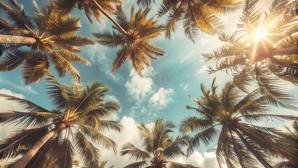 The image shows a view of the sky through a canopy of palm trees. 