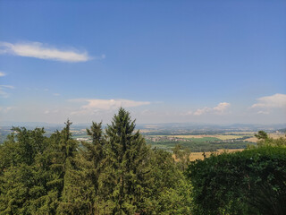 A panoramic view of a valley from a forest on a clear summer day