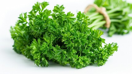 Fototapeta premium Green fresh bunch of parsley herb tied with a string isolated on white background
