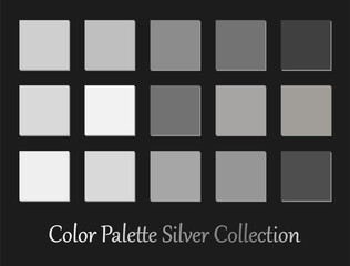 Luxury silver theme color palette set include fifteen colors for modern and elegant design.