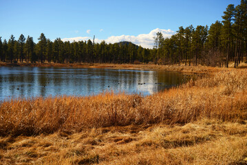 Lake of the Woods Arizona