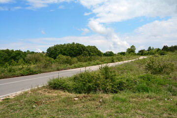 Beautiful natural landscape with vegetation in May. Spring landscape. Natural background.