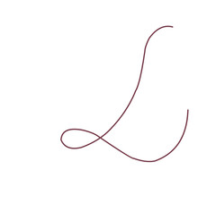 Hand drawn collection of curly swishes, swashes and wavy lines. Vector calligraphy flourishes for text