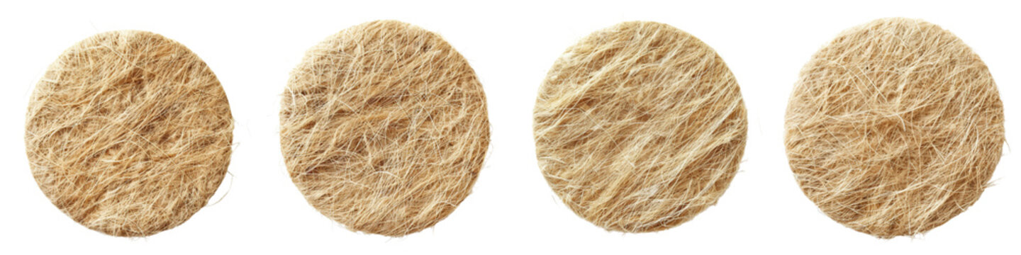 Set of A Complex material circle of dehydrated gammarids fiber on a transparent background