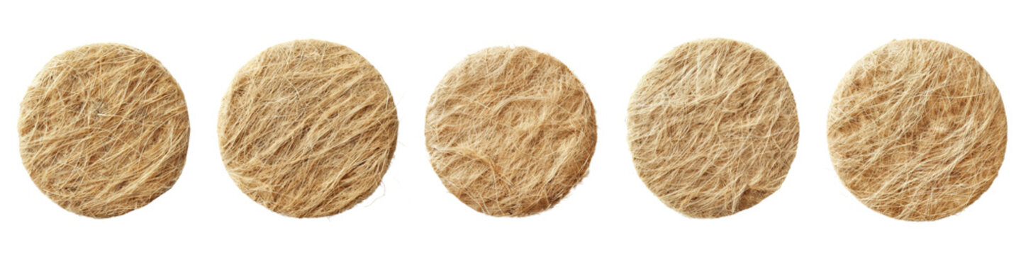 Set of A Complex material circle of dehydrated gammarids fiber on a transparent background
